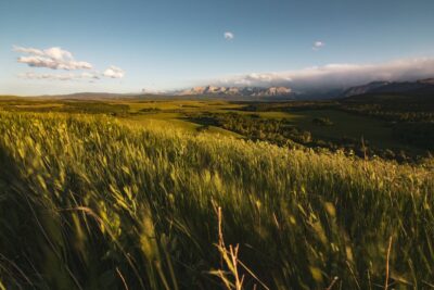 prairie fields in alberta