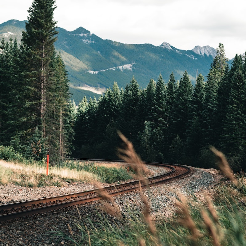 train tracks between trees in alberta looking towards the rockies